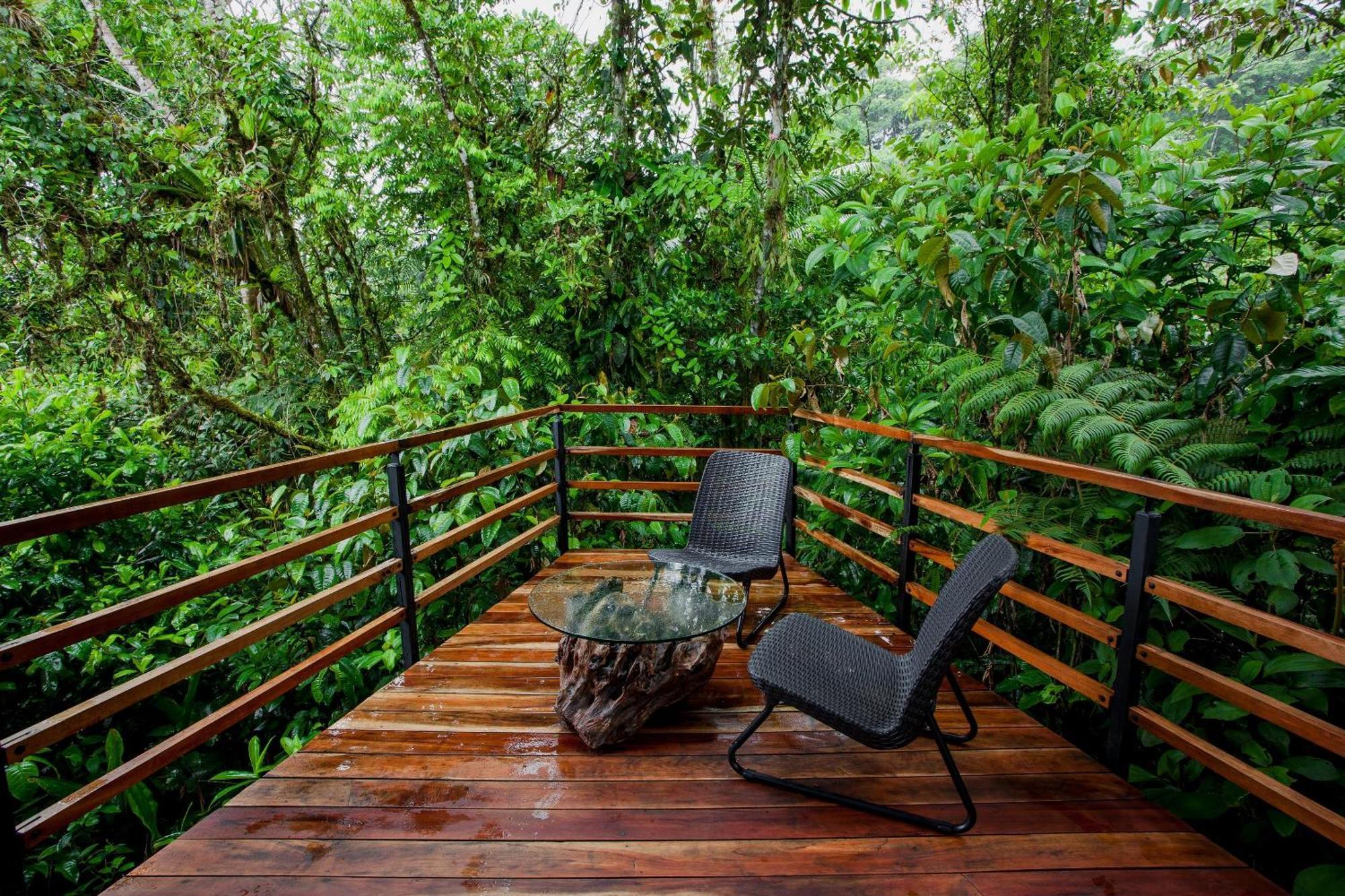 Ecolirios Boutique Hotel & Villas Guacimo  Номер фото
